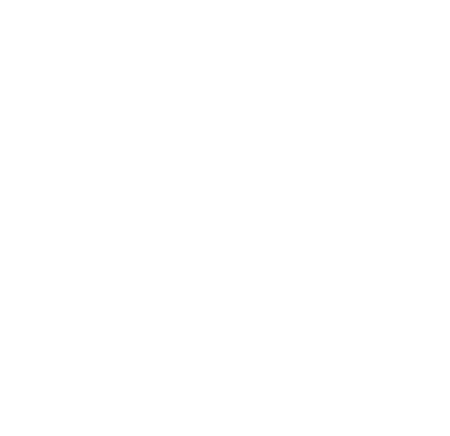American Home Life Logo