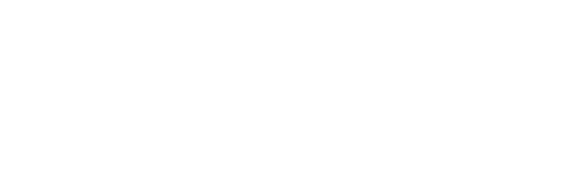 American-Amicable Logo