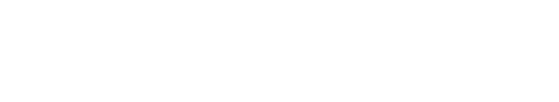 Fidelity Life Logo
