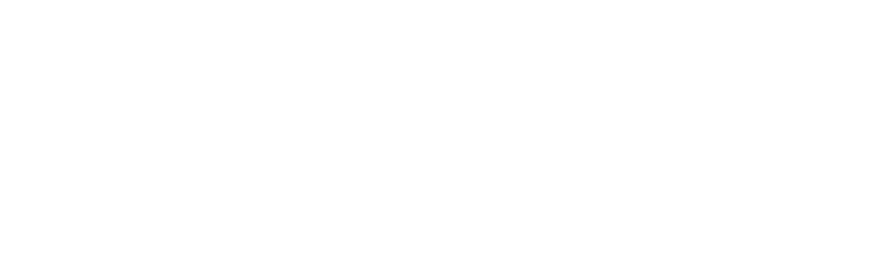 SBLI Logo