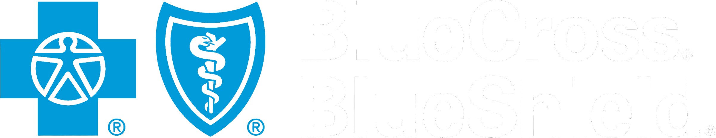 Blue Cross Blue Shield Logo