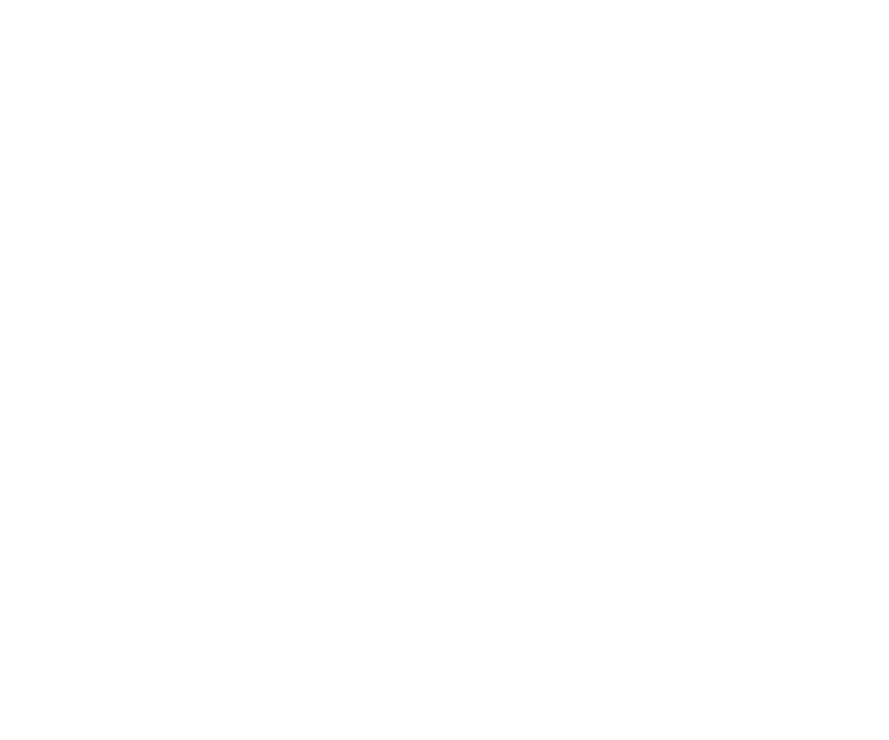 New York Life Logo